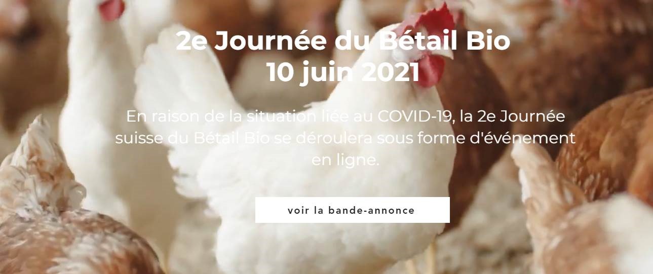 La 2e journée suisse du bétail bio aura lieu le 10 juin 2021