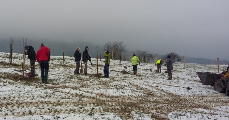plantation d'arbres Corban